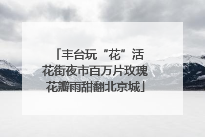 丰台玩“花”活 花街夜市百万片玫瑰花瓣雨甜翻北京城